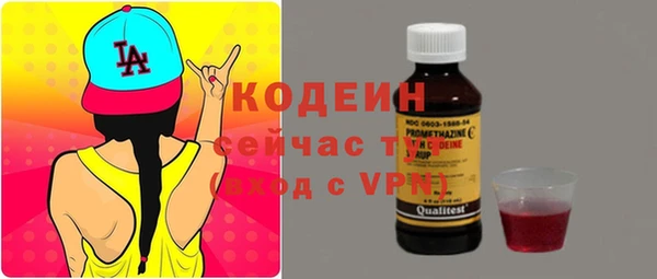 стафф Касимов