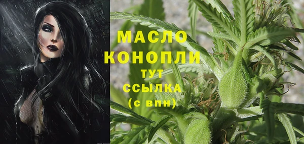 стафф Касимов