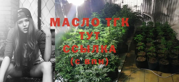 стафф Касимов