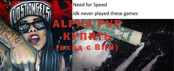 стафф Касимов