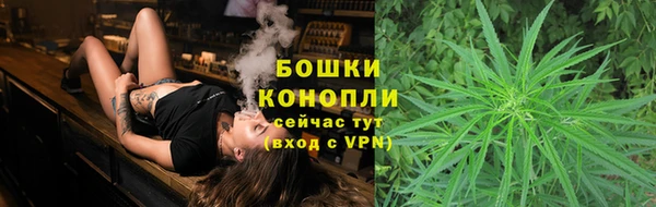 стафф Касимов