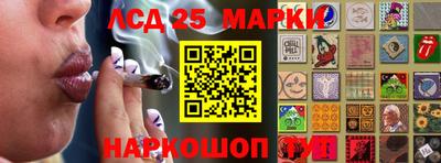 spice Кандалакша