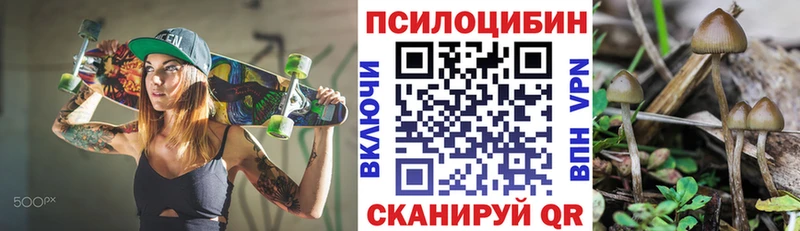 наркотики  Наро-Фоминск  Псилоцибиновые грибы мухоморы 